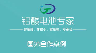 鉛酸蓄電池國外合作...